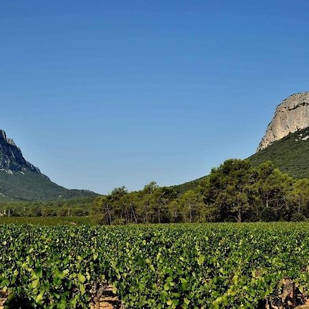 Gite Du Pic Saint Loup Valflaunes Buitenkant foto