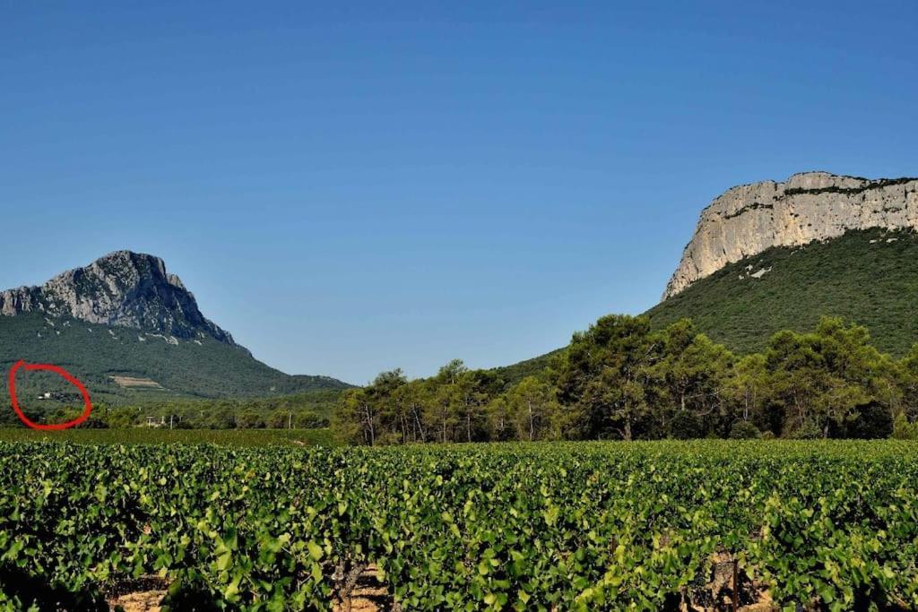 Gite Du Pic Saint Loup Valflaunes Buitenkant foto